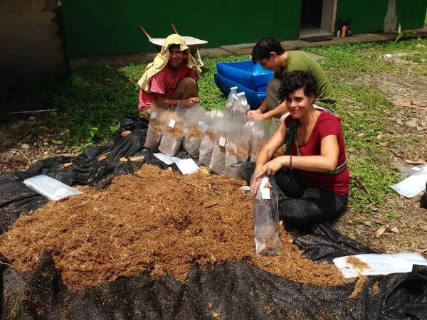volunteers bagging substrate