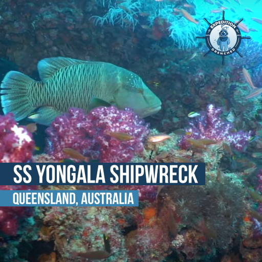 Australia - Great Barrier Reef -SS Yongala Shipwreck | Expedition Drenched 
