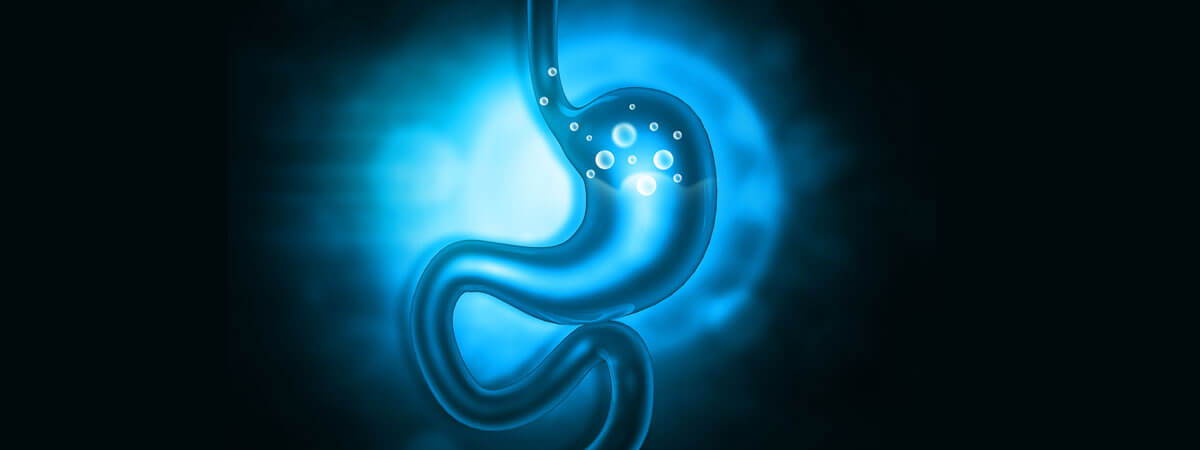 Digestive Load and Bloating
