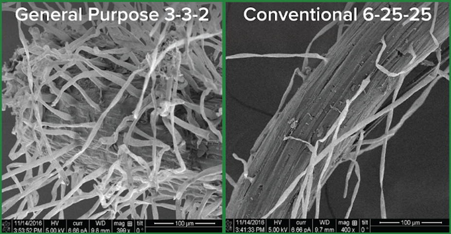 Root Hair Scanning Electron Micrograph of AgroThrive General Purpose VS Conventional 6-25-25