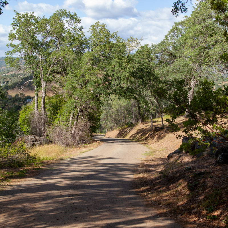 Small road traveling through rolling hills of California.