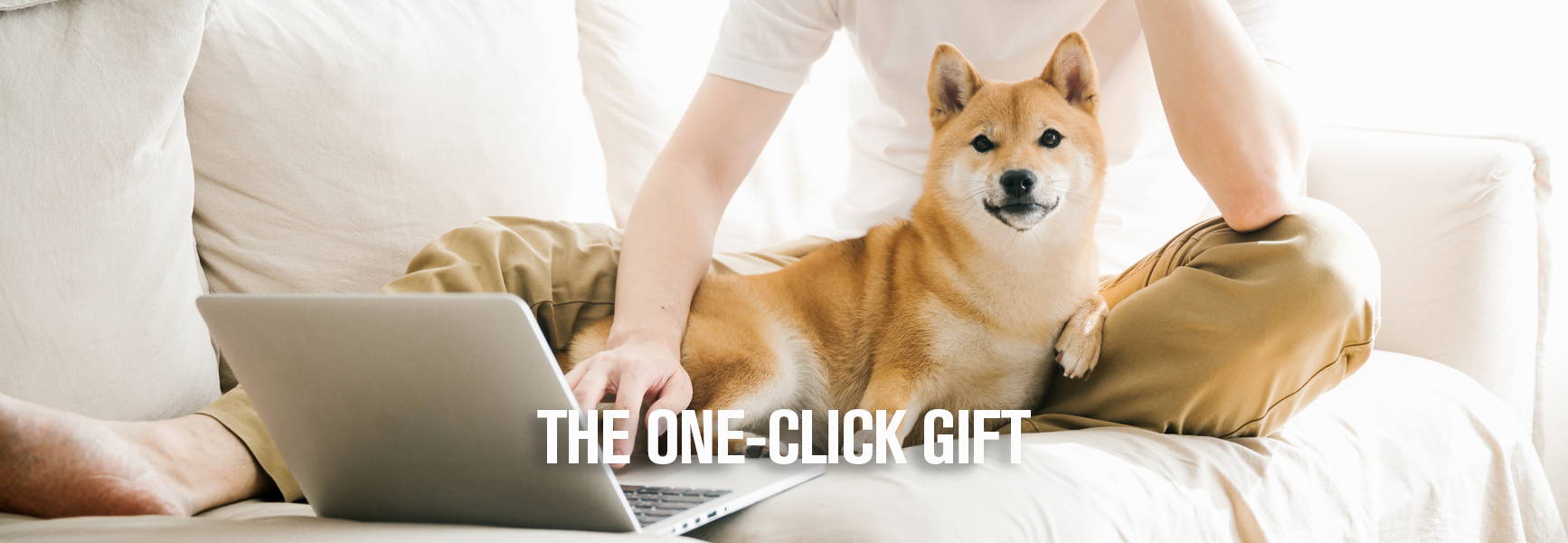 A fluffy dog laying on his owners lap on a white sofa, they are looking at a laptop together