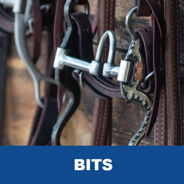Close-up of horse bits on a wooden background.
