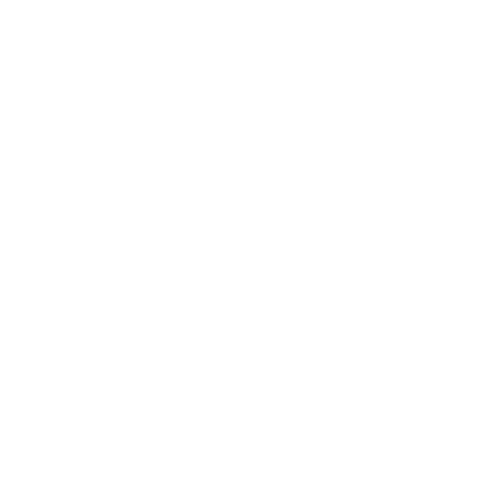 Industrial inspection specialists