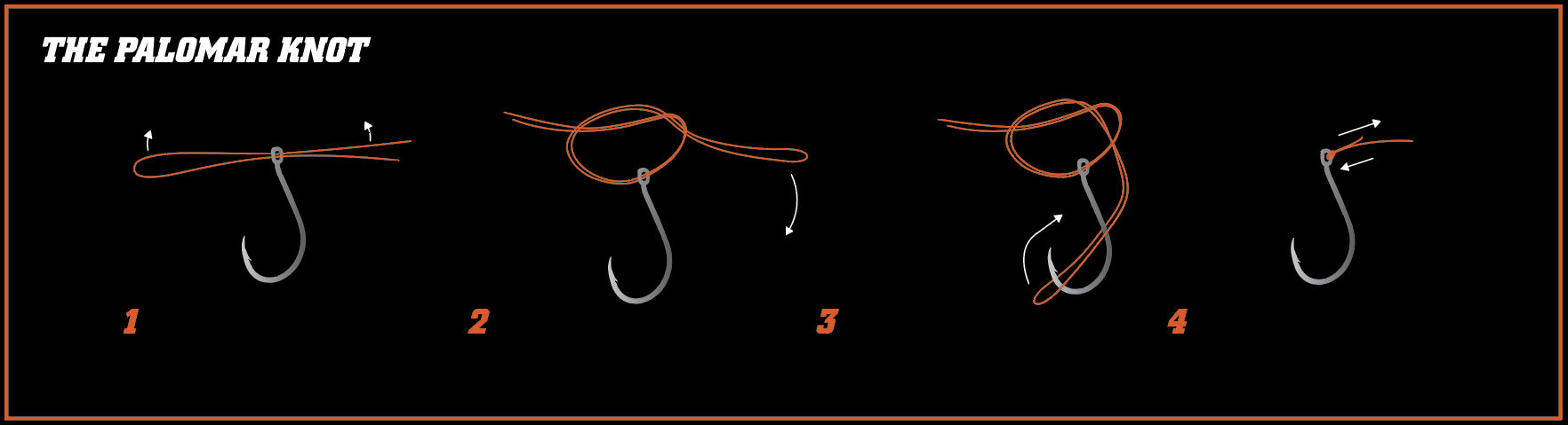 Step-by-step illustration showing how to tie a Palomar knot for fishing, featuring clear instructions and labeled parts for easy learning