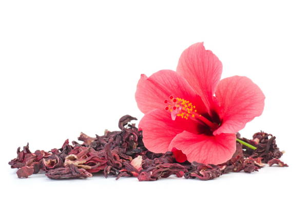 Hibiscus Benefits