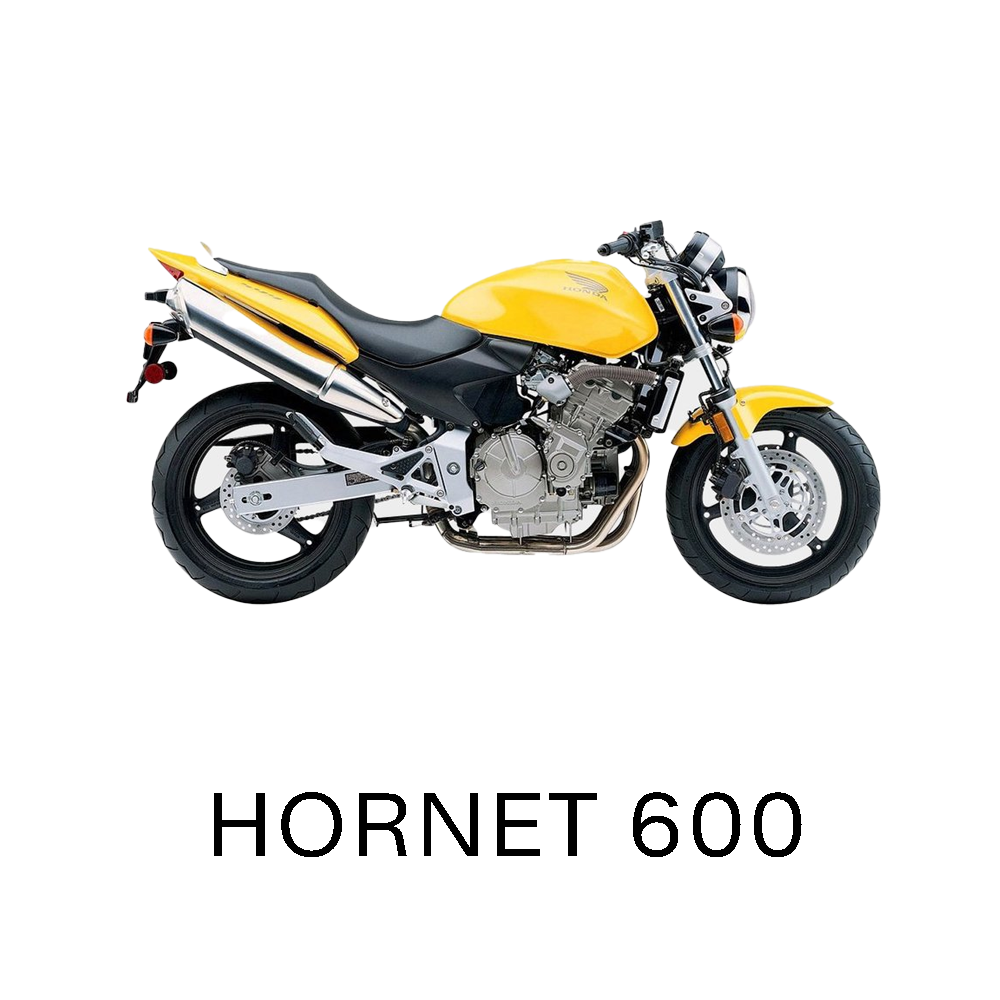 Hornet 600