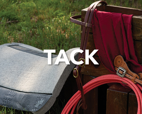 Saddle pad, harness, and rope on grass background with 