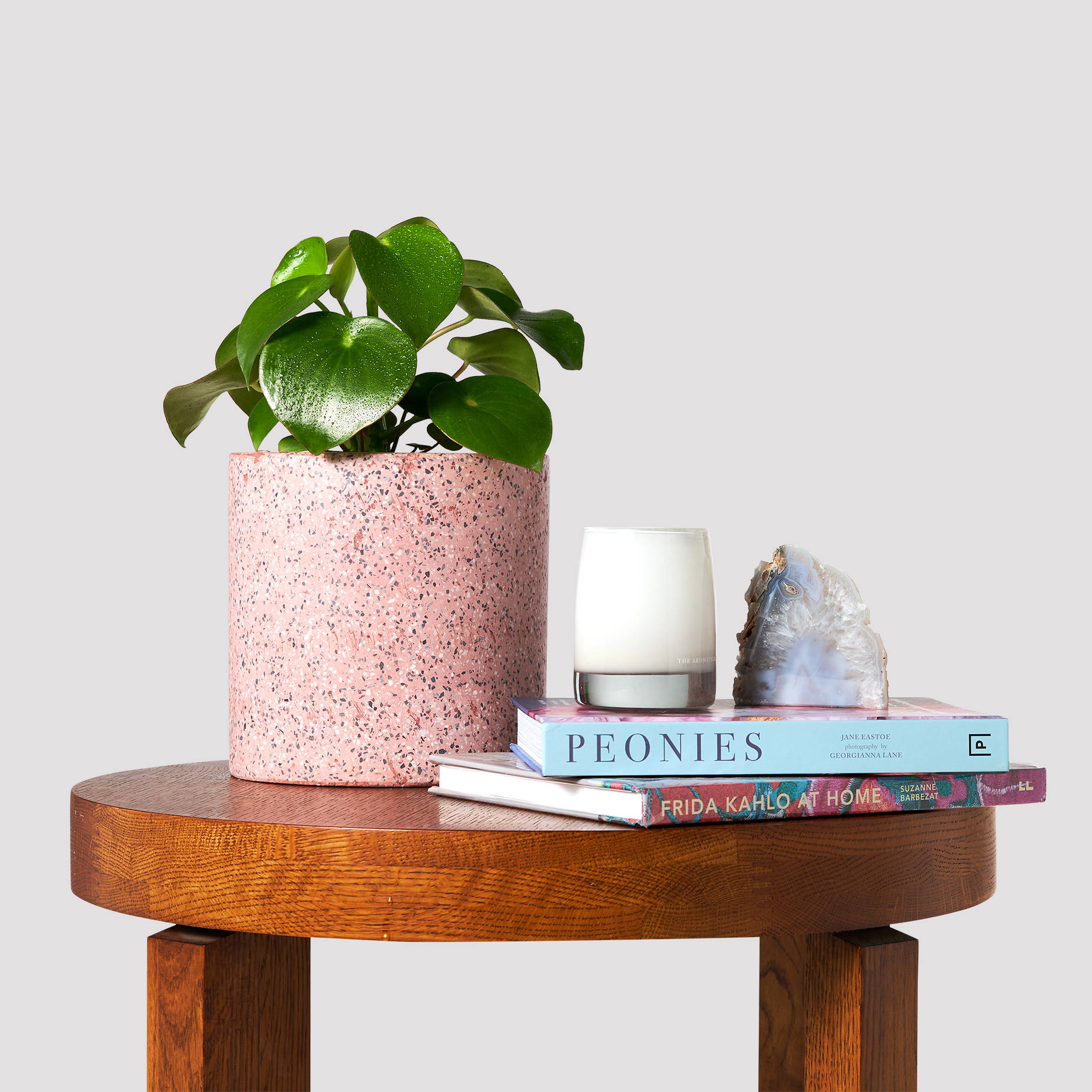 Luscious Peperomia Raindrop Indoor Plant in pink pot on table with books and a candle 