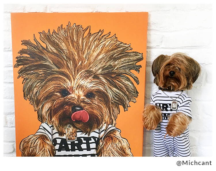 yorkie next to canvas