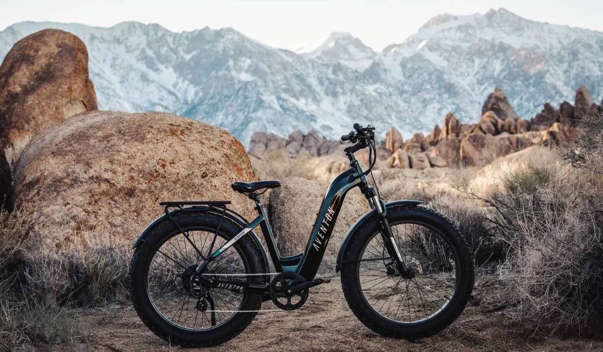 11 Best Ebikes of 2024