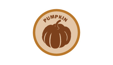Pumpkin icon 
