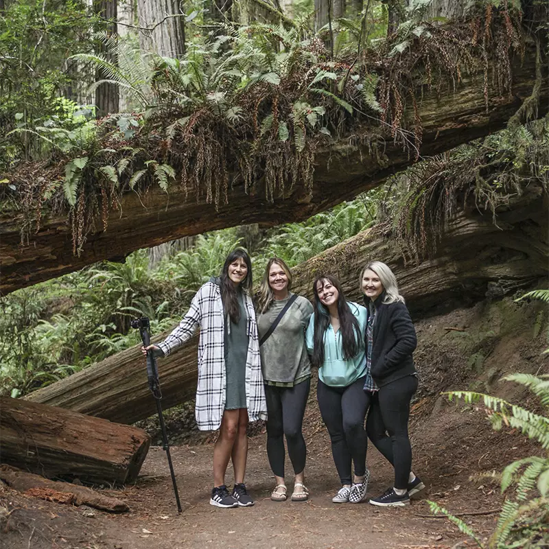 Aventura crew in font of big redwood trees in the redwood forest.