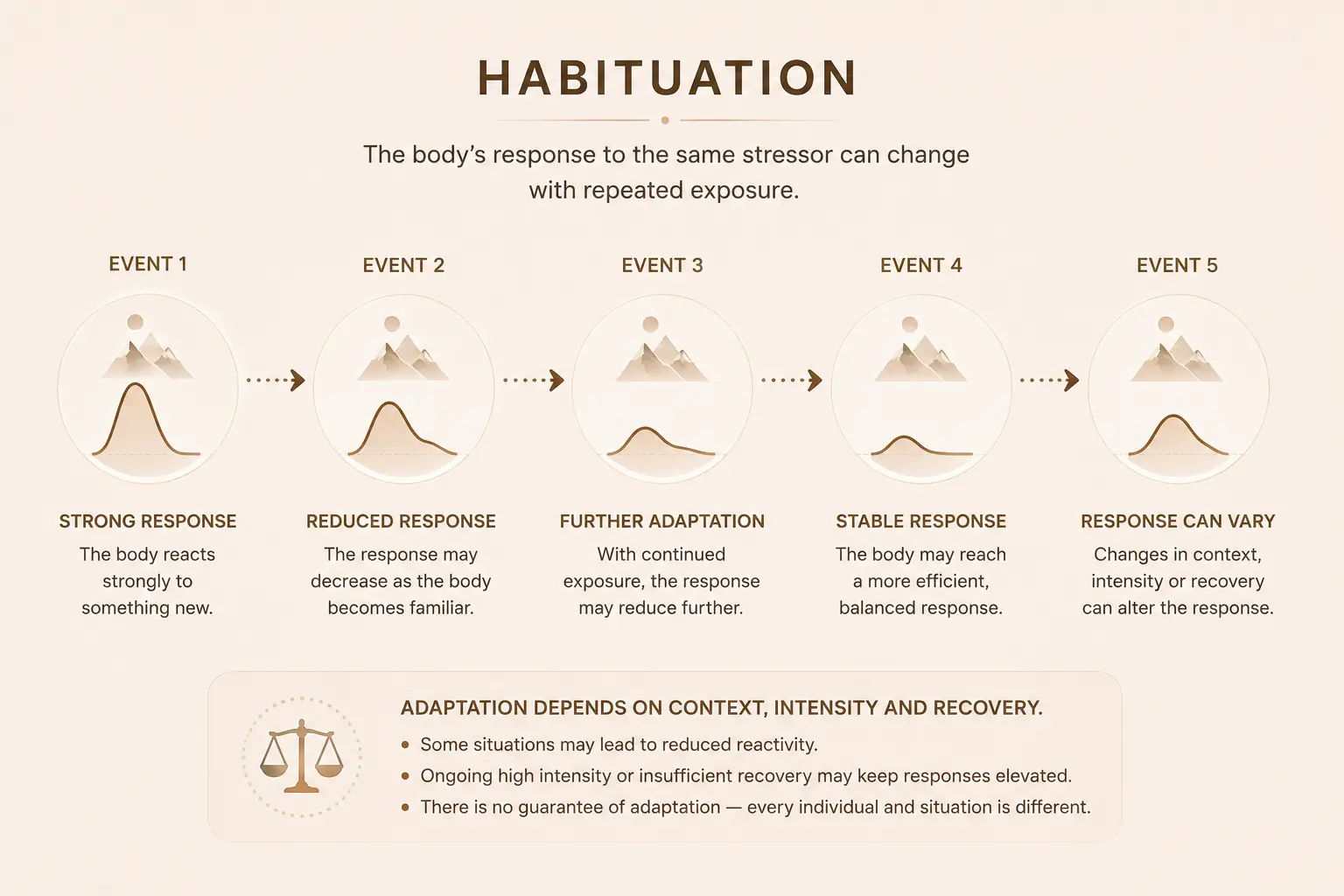 Diagram illustrating habituation response stages with descriptive text.