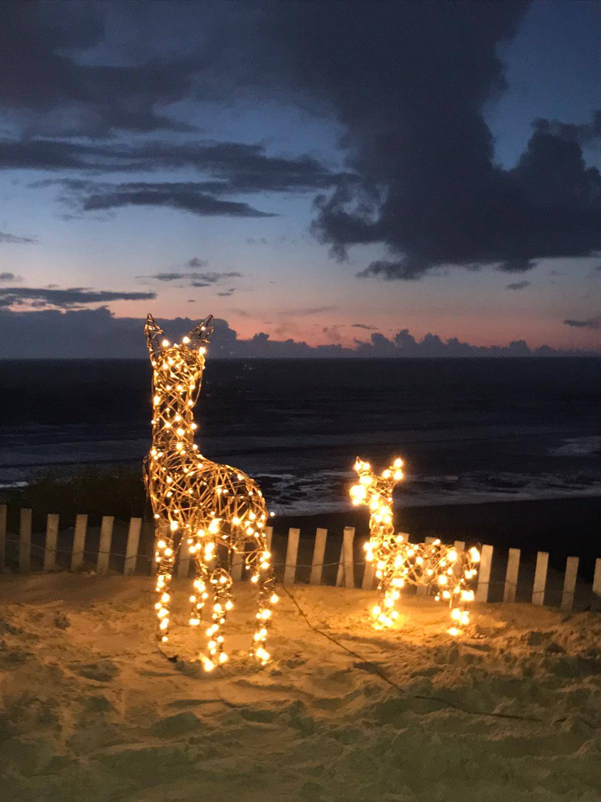 Fawn and doe light up reindeer on a beach in Bordeaux.