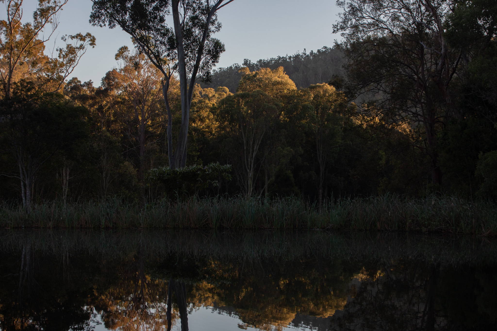 Sol Elements landscape