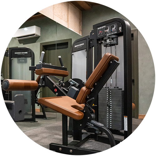 Selectorized Leg Extension / Curl in home gym