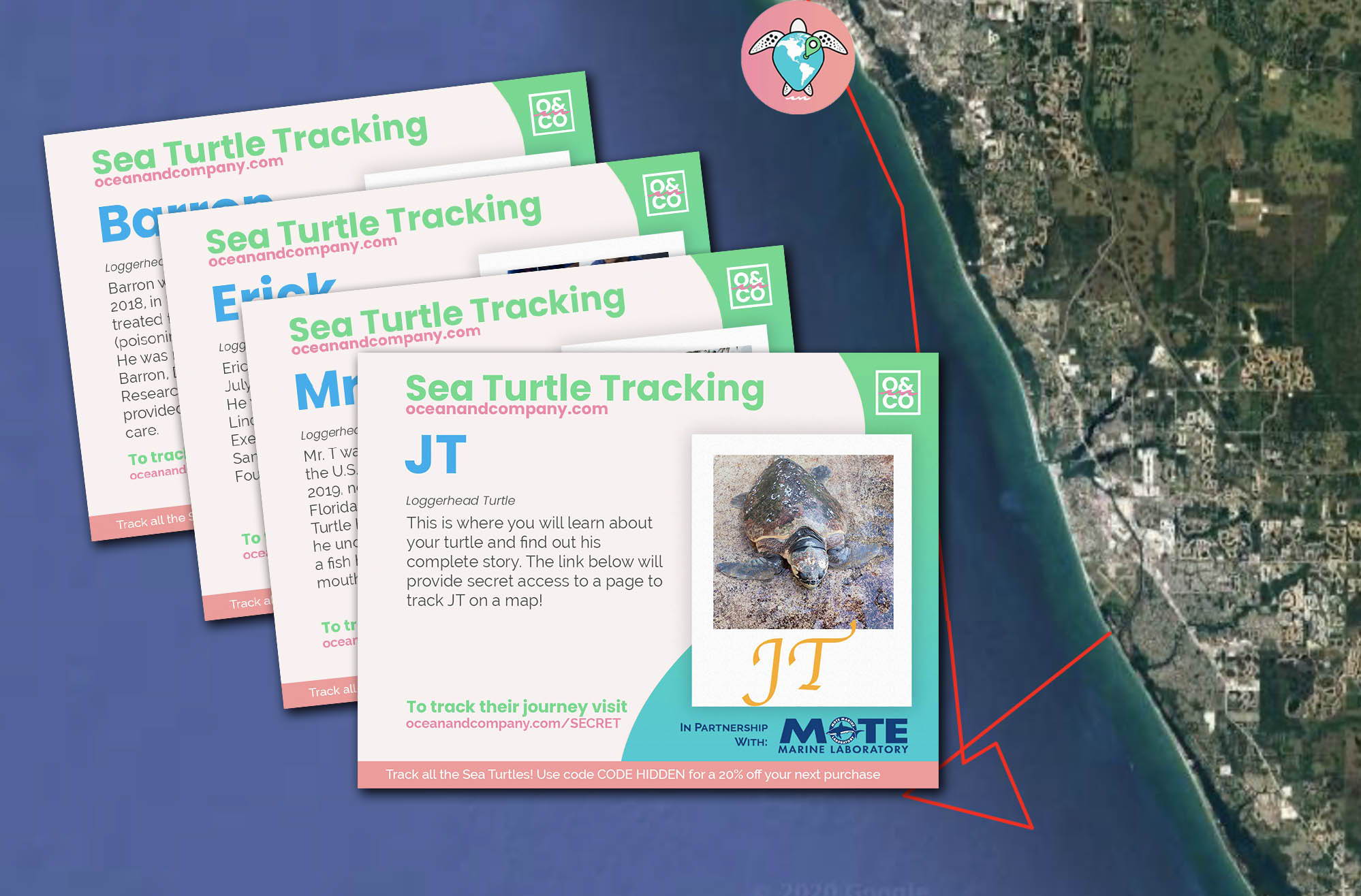 Sea Turtle Tracking Ocean Company