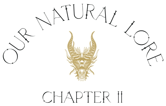 OUR NATURAL LORE CHAPTER TWO | CAMILLA