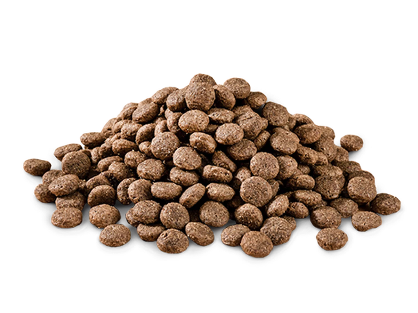 Dry Dog Food kibble