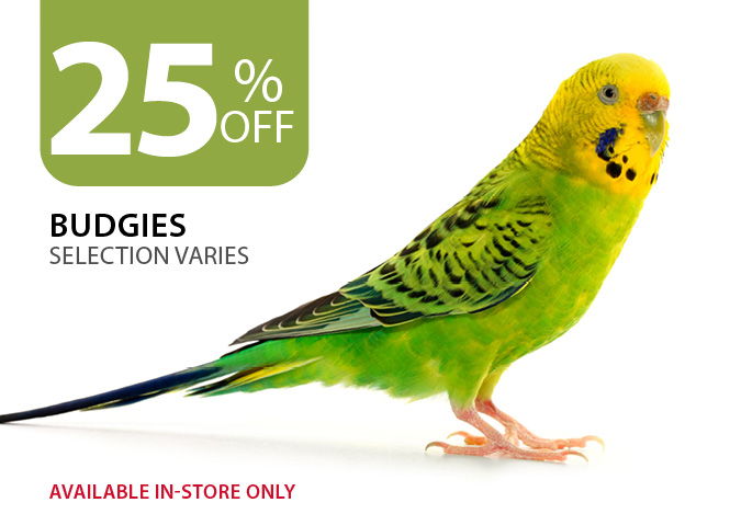 25% off Budgies. Available in-store only.