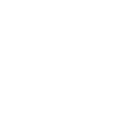 White price tag icon