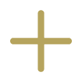 add icon