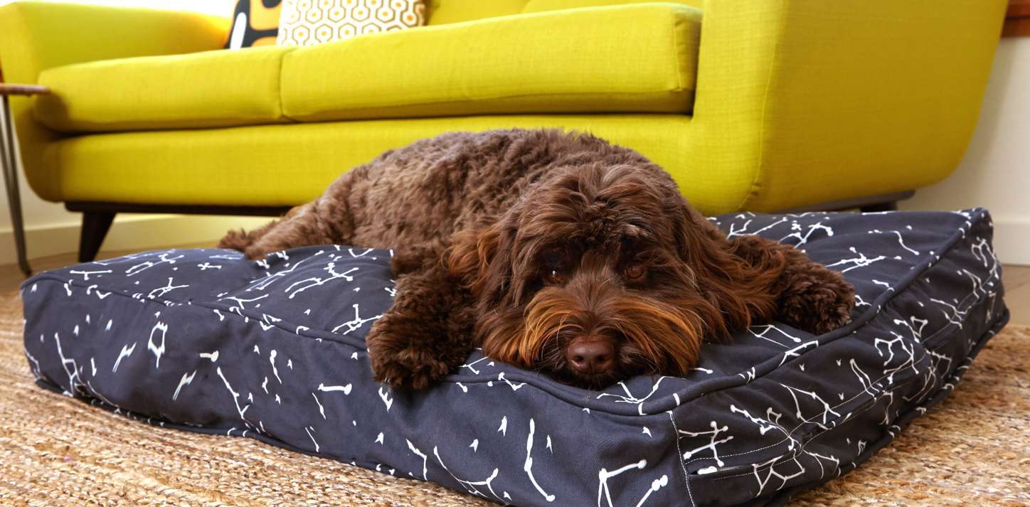 washable dog mattress