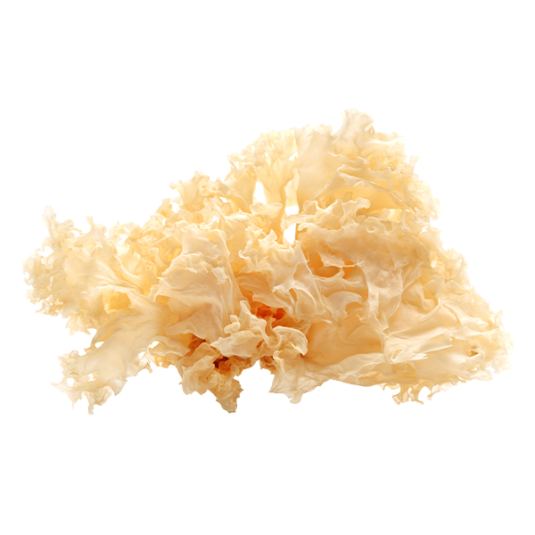 Tremella