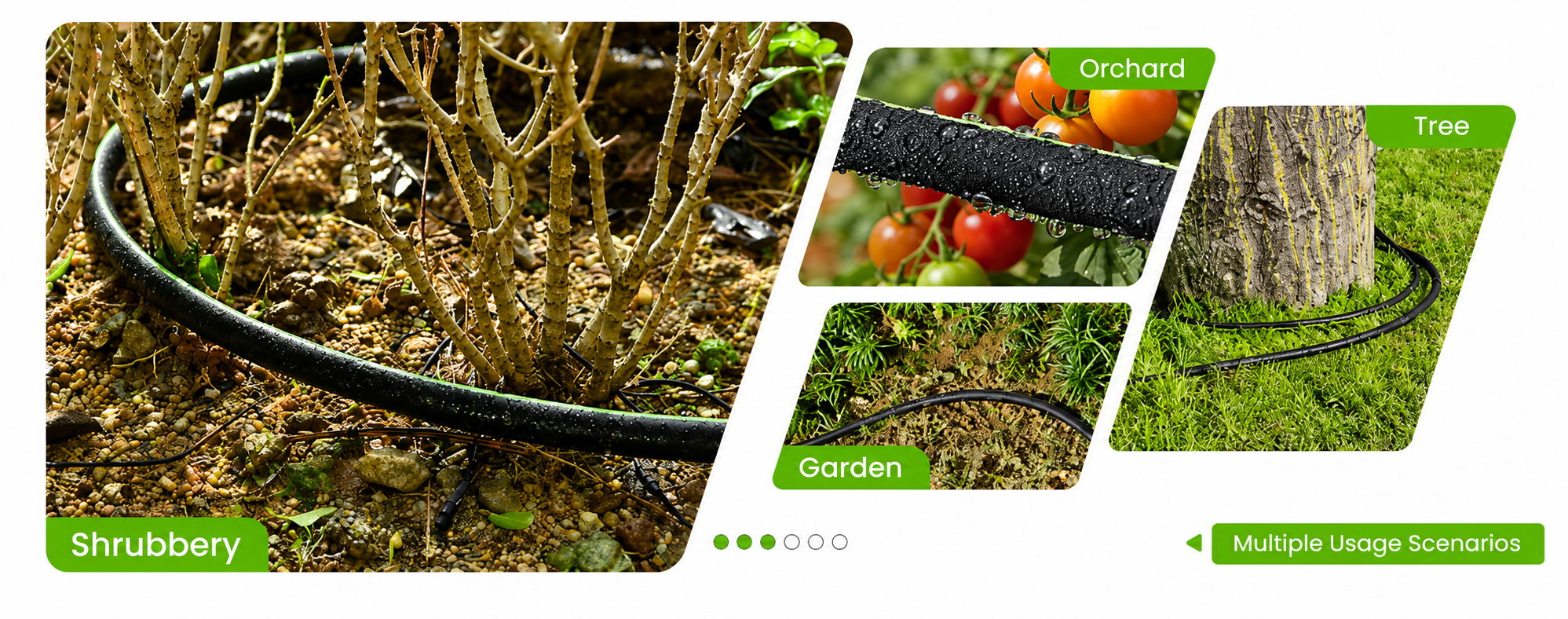 Irrigation system with images of plants and fruits.
