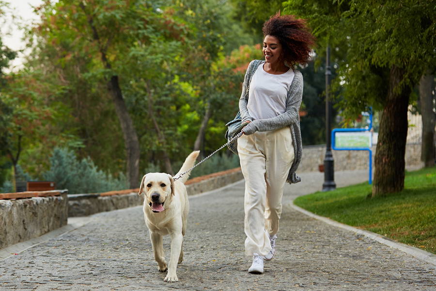 woman smiling and walking a dog along a park path