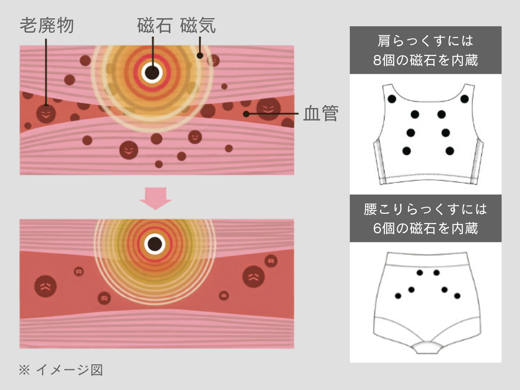 ピップエレキバン® 磁石