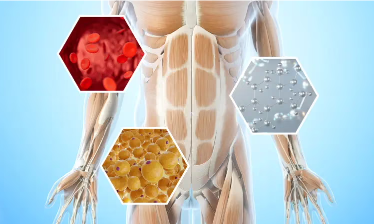 The Science of Stubborn Fat - Why some areas are naturally more resistant to change.