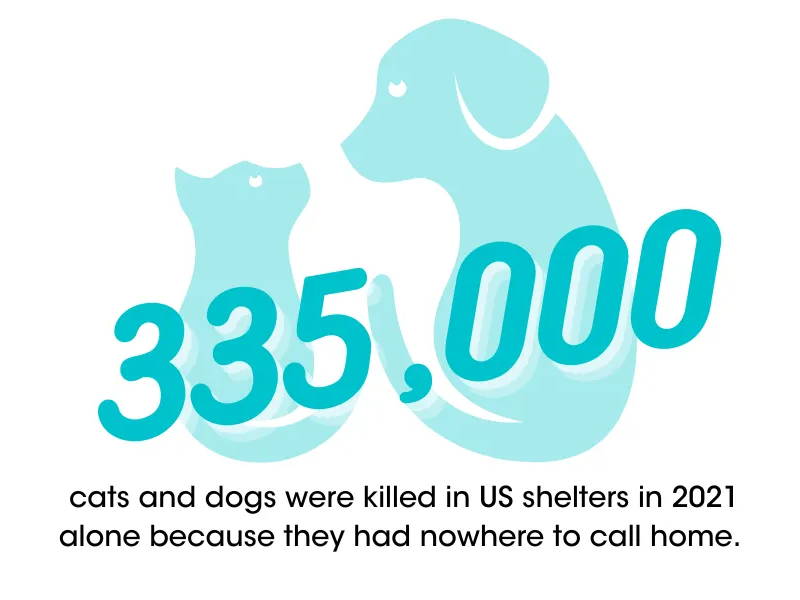 335,000 cats and dogs were killed in US shelters in 2021 alone because they had nowhere to call home. 