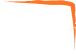 Orange Vector