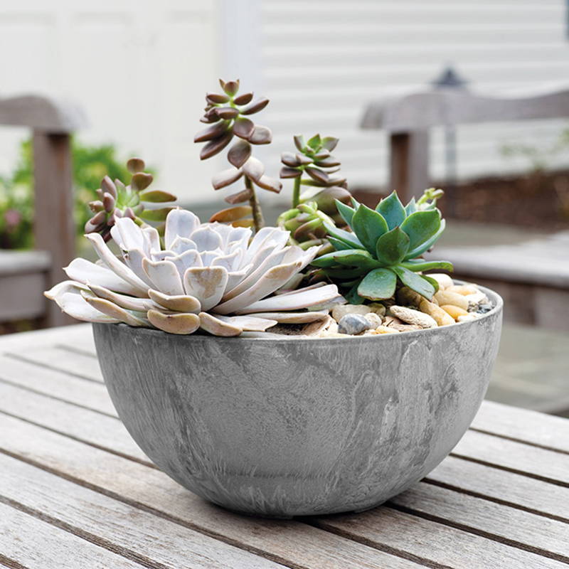 A gray napa bowl planter housing several succulents