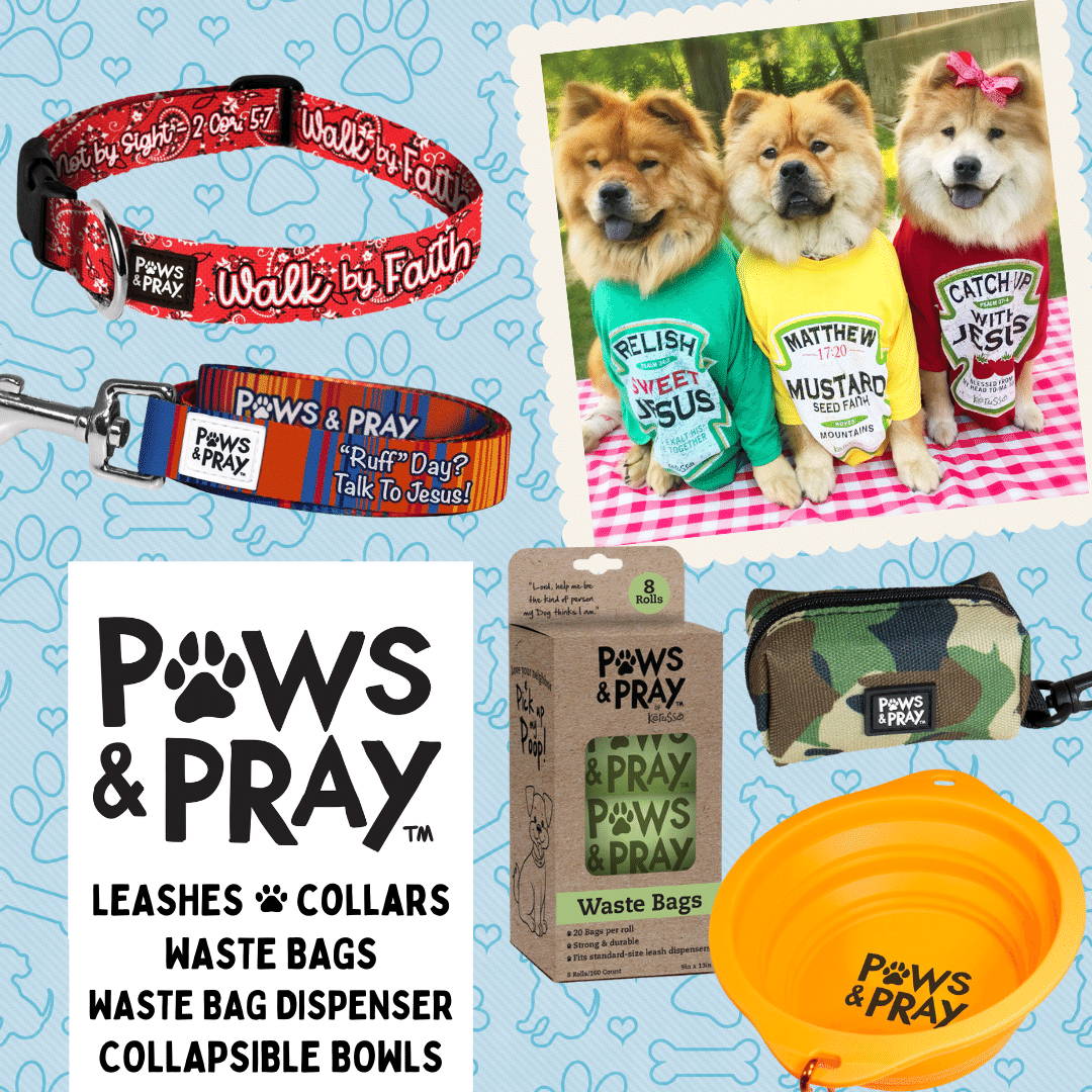 Wholesale Pet Accessories Products Christian Pet Leashes Collars Waste Bags Bowls