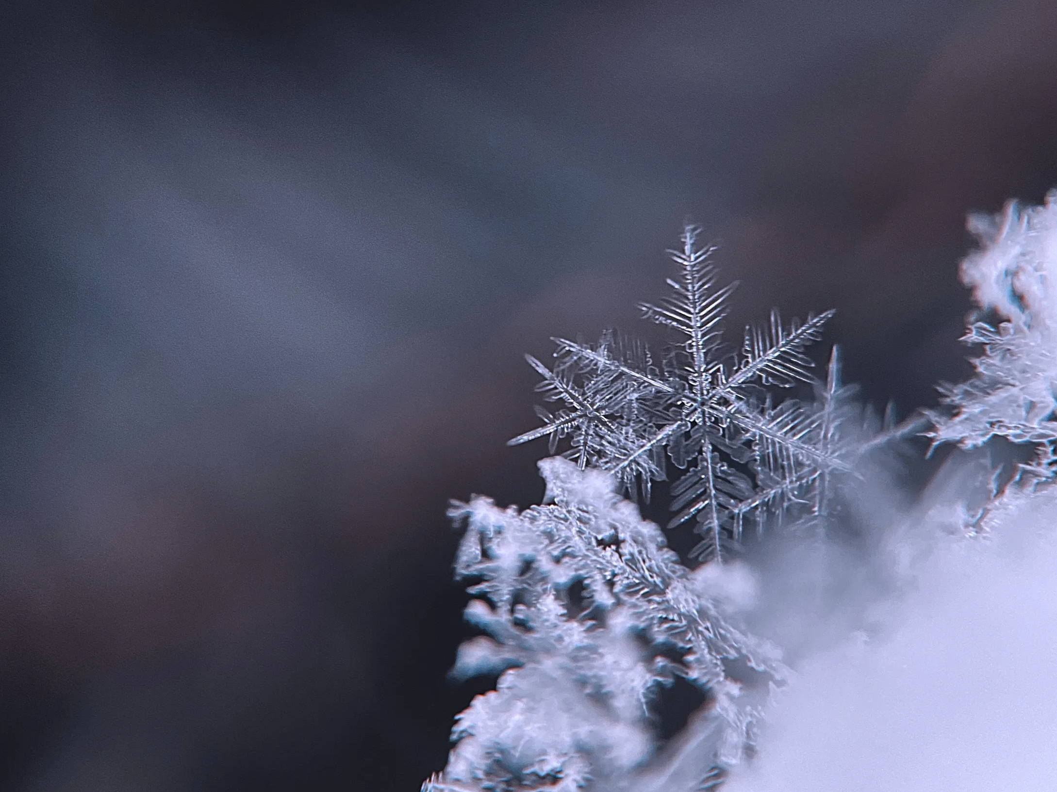 Closeup of a snowflake