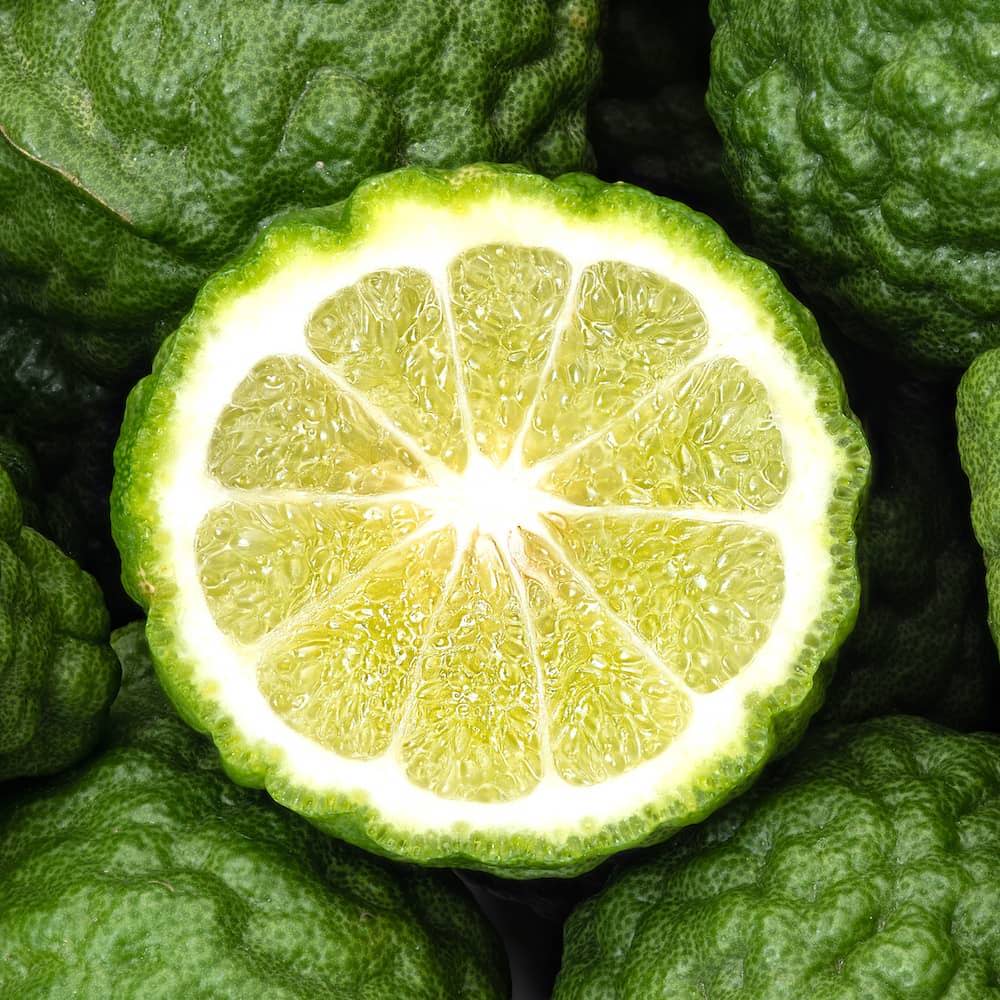 Bright green bergamot citrus fruit with rind