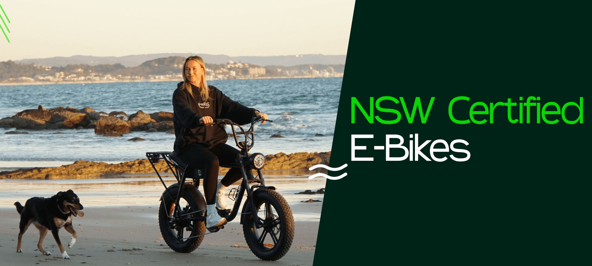 Person riding a certified electric bike with a dog on the beach.