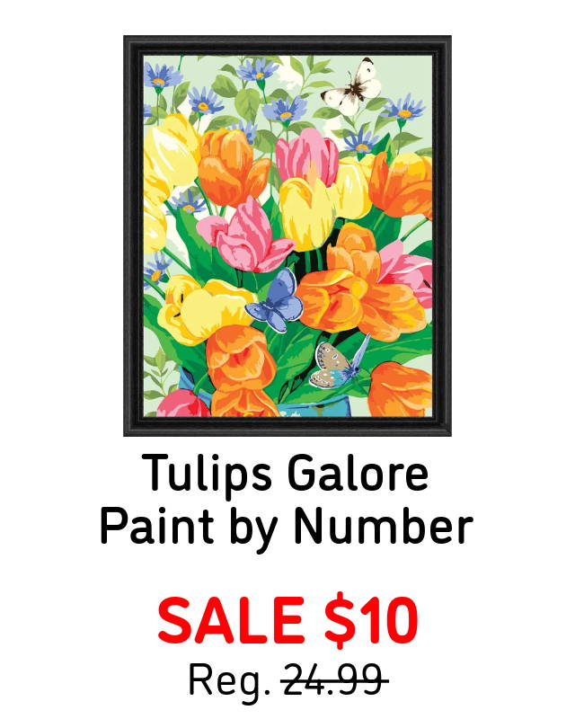 Tulips Galore Paint by Number - Sale $10. (shown in image).