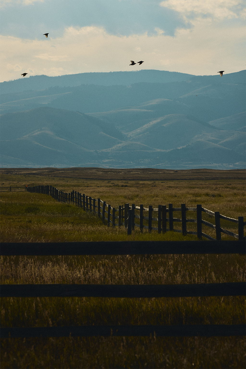 A landscape photo of fields and mountains in Pray Montana with birds flying by a distant fence