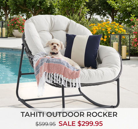 A dog lounging on a Tahiti Outdoor Rocker chair by a pool.
