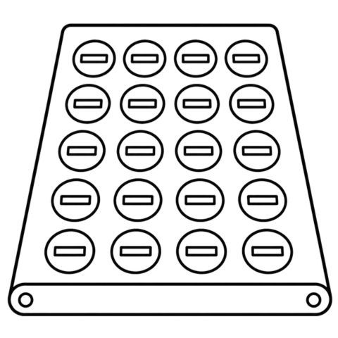 Diverter Wheel sorters Installed By Hoj