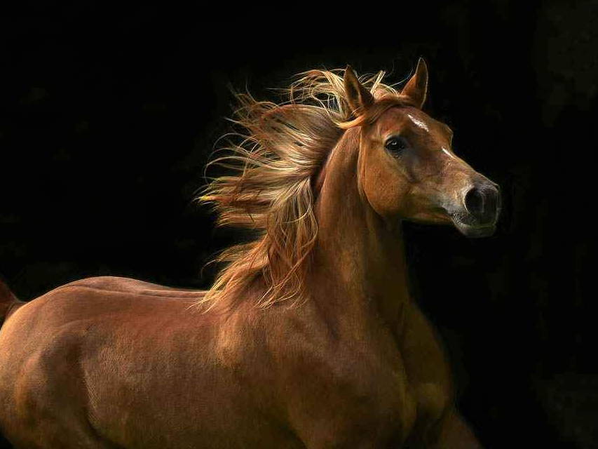 Tony Stromberg. Online Art Gallery. Fine Art Online. Sculpture online. Santa Fe Art Gallery. Durango Art Gallery.