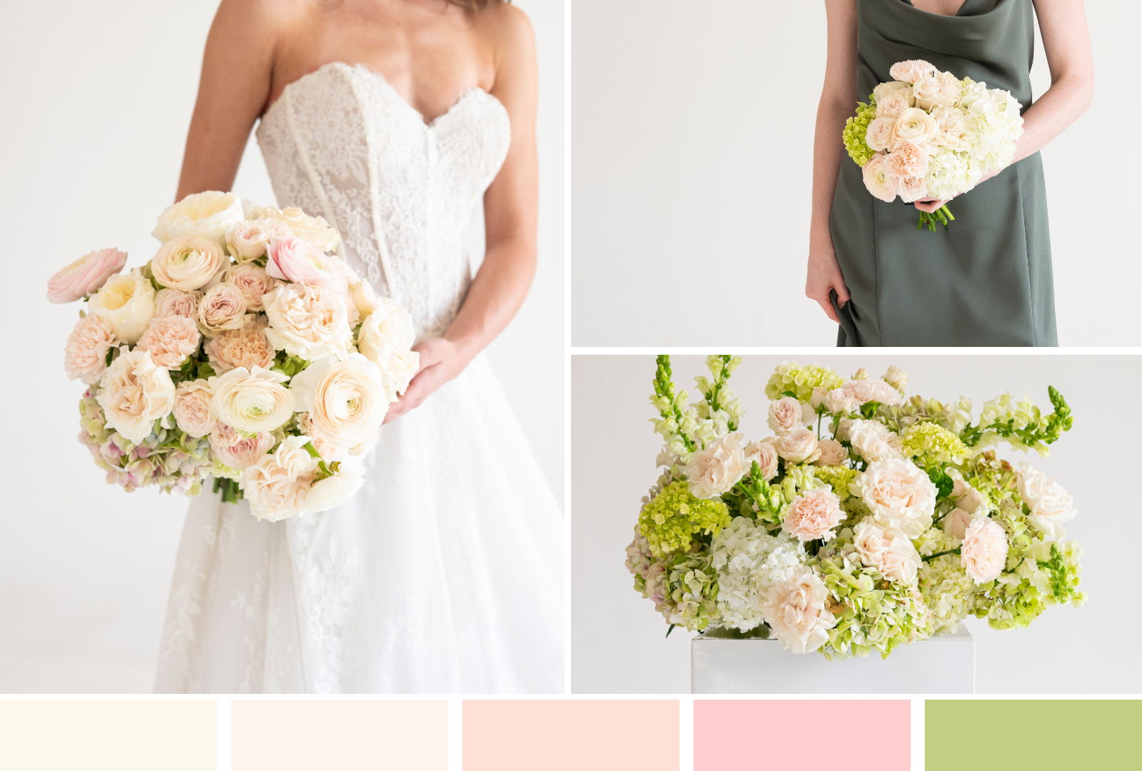blushing hydrangea