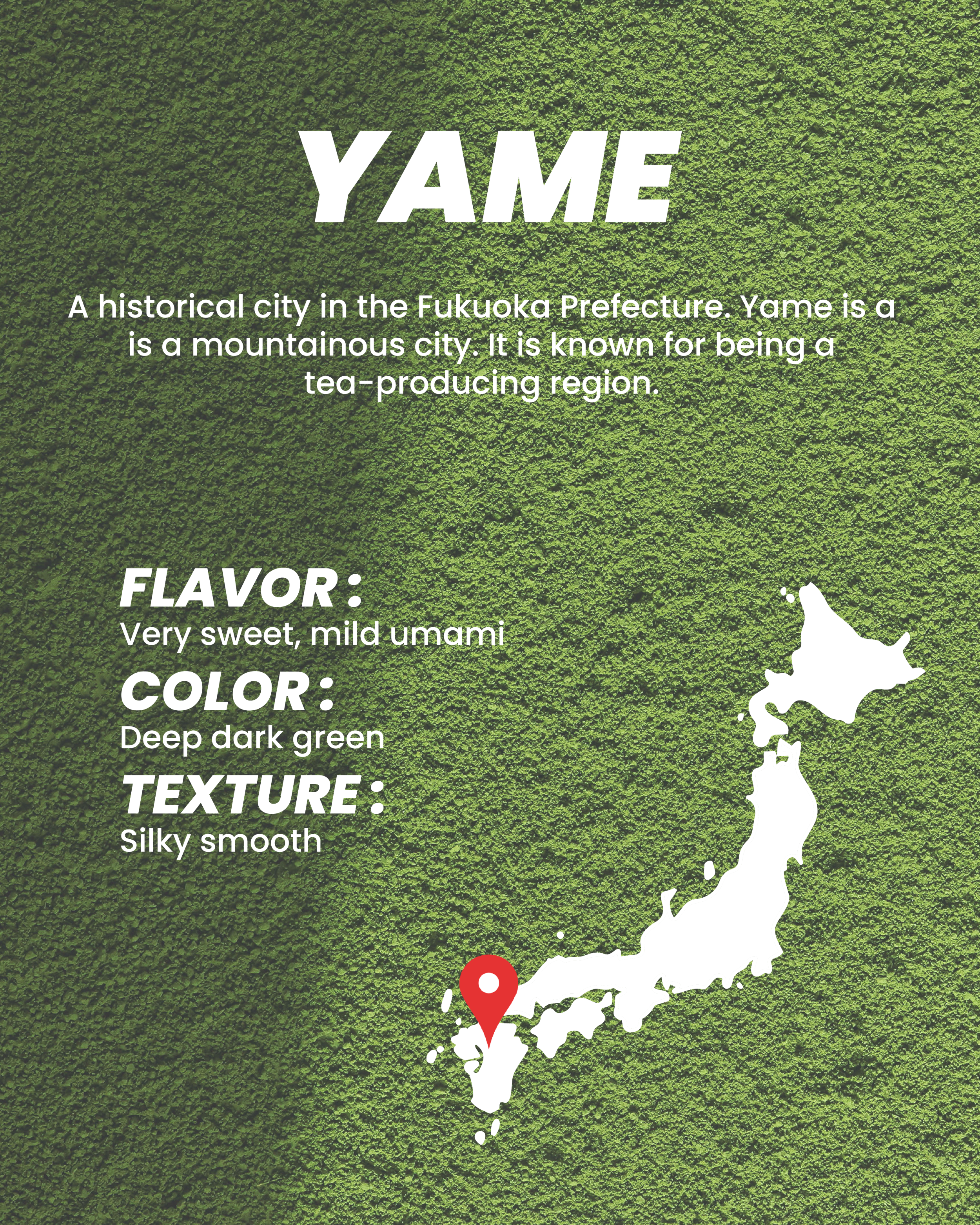 Yame, a historical city known for tea production, with flavor and texture details.