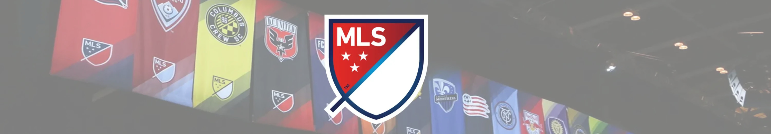 MLS Logo 