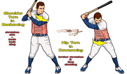 ab muscles stretch for baseball hitting
