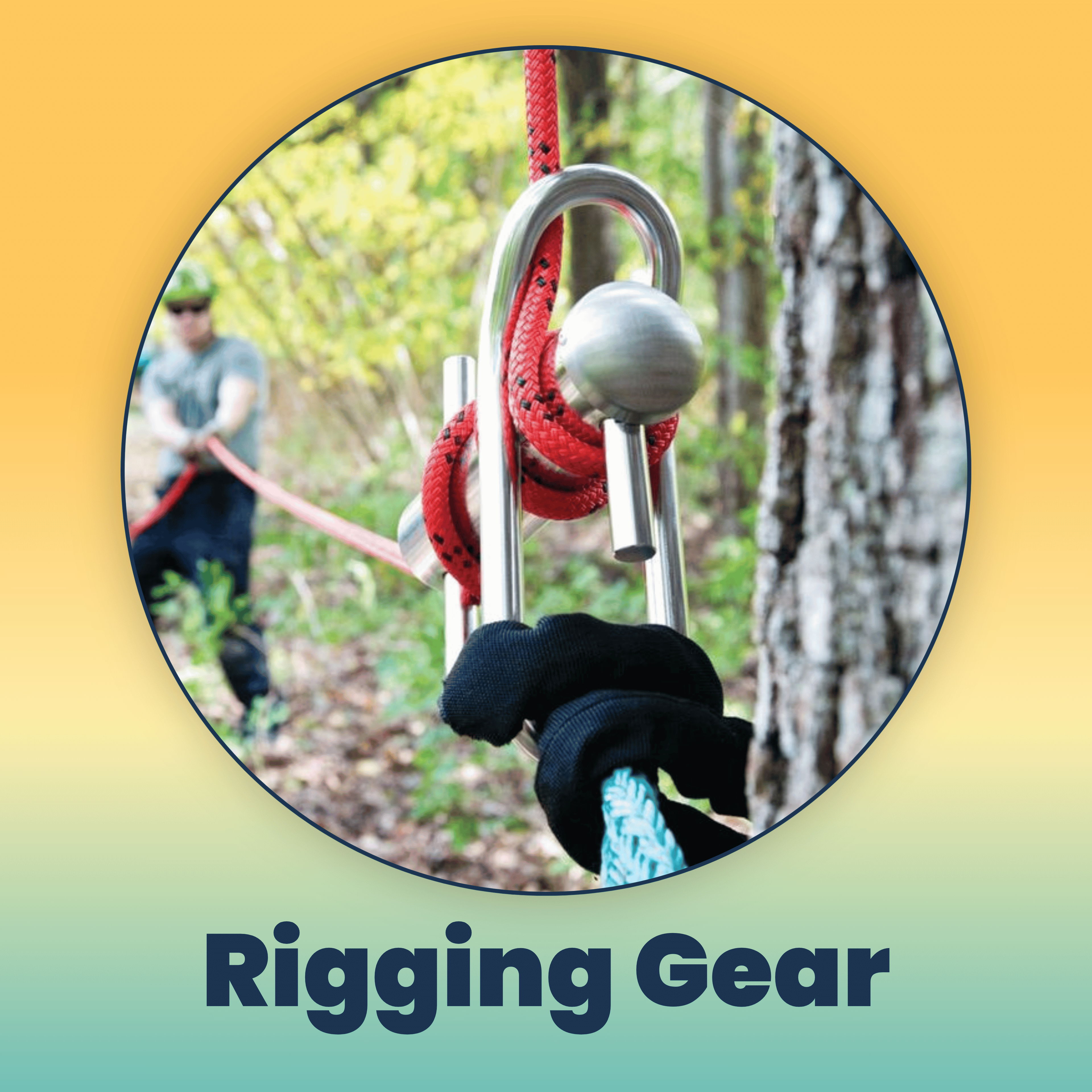 A close-up of rigging gear in a forest setting.
